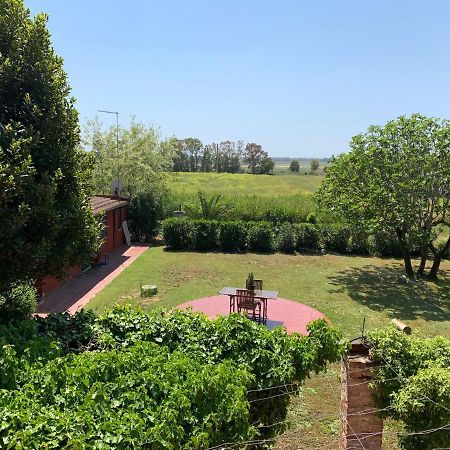 Casale Degli Ulivi Maccarese Villa Le Cerquete Exterior photo