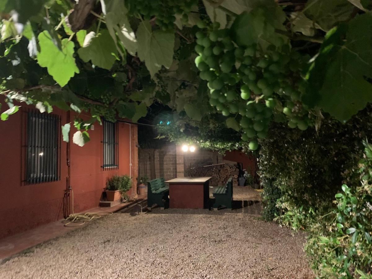 Casale Degli Ulivi Maccarese Villa Le Cerquete Exterior photo